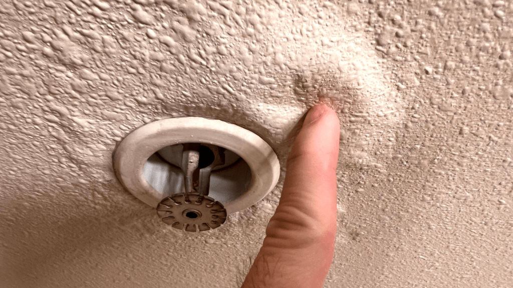 Close-up of a person's index finger pointing to moisture on a textured ceiling, indicating a water leak. Below the damp area is a smoke detector, suggesting the importance of home maintenance and safety.