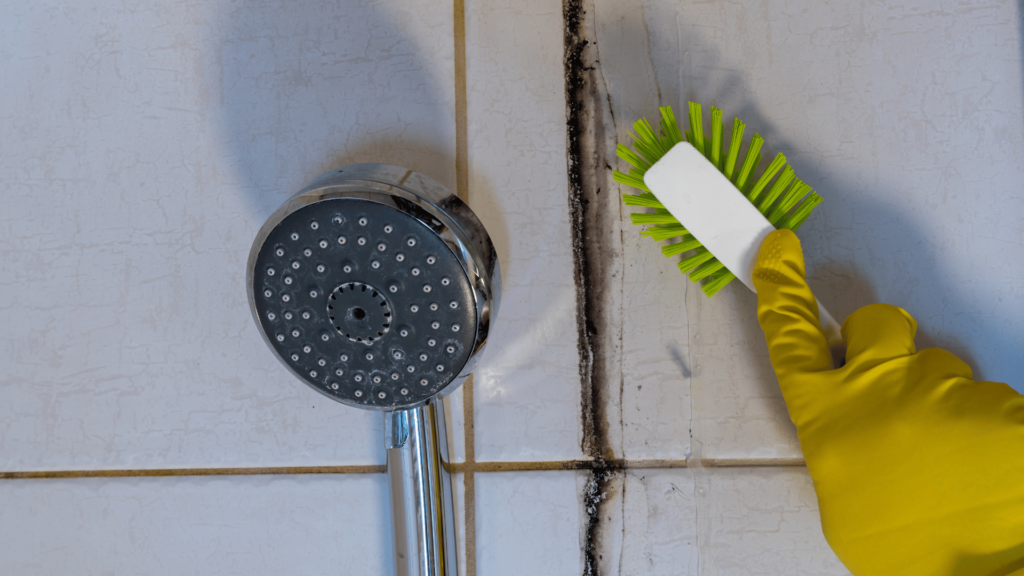 A hand in a yellow cleaning glove scrubs the grout between bathroom tiles with a green and white brush, next to a chrome showerhead. The contrast between the clean showerhead and the dirty grout highlights the process of cleaning bathroom tiling.